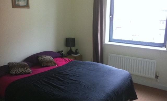 17456_rillcrt_img_01_0000