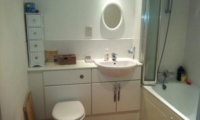 17456_rillcrt_img_05_0000