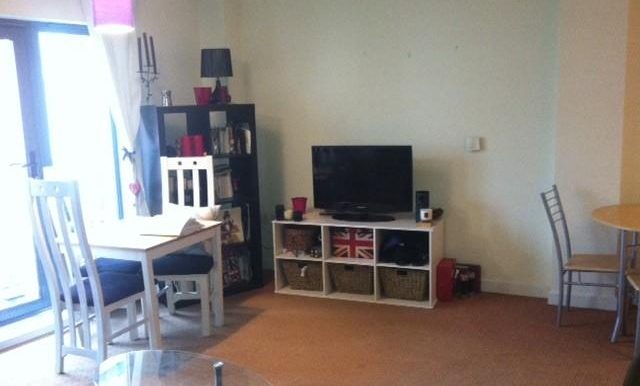 17456_rillcrt_img_07_0000
