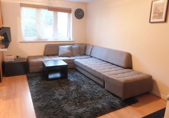 17456_exp_IMG_01_0000_max_620x414