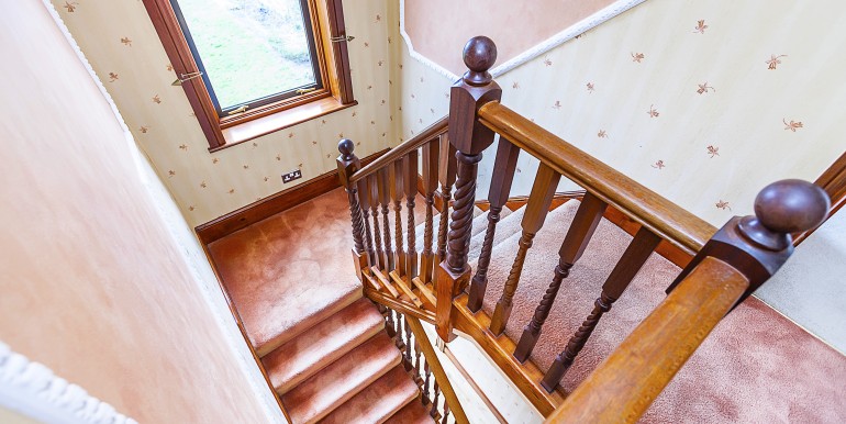 47 Northbrook Rd -004