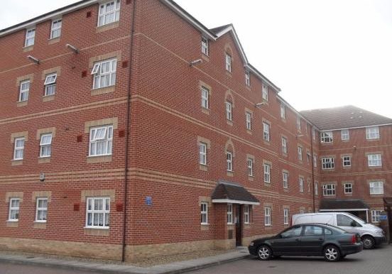 9358_honey_img_04_0000_max_620x414