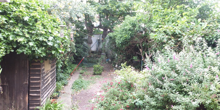 DSCF1567
