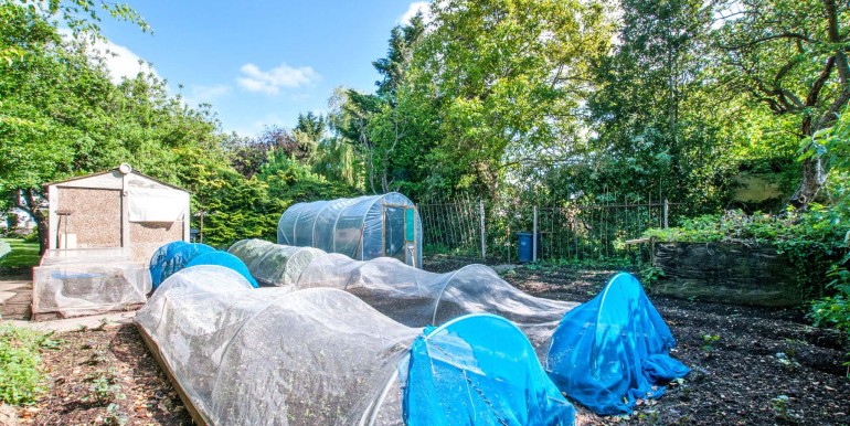 RDOrangeSquare - 48 Morrab Gdns - Garden (8)_low