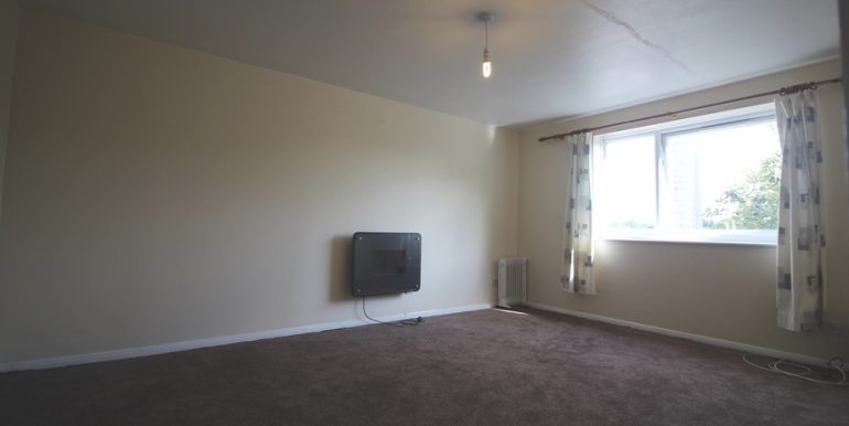 imageedit_1_4771059945