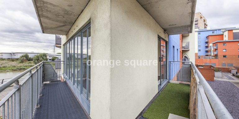 imageedit_29_9292548988