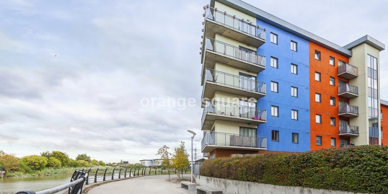 imageedit_49_6466327413