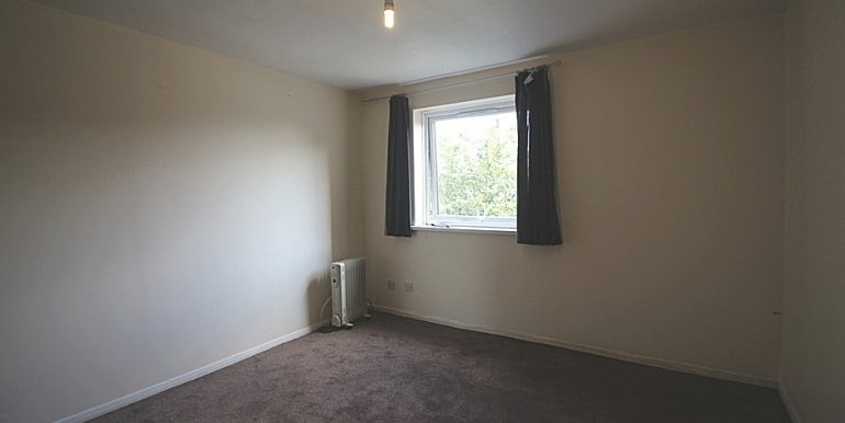 imageedit_5_2836845345