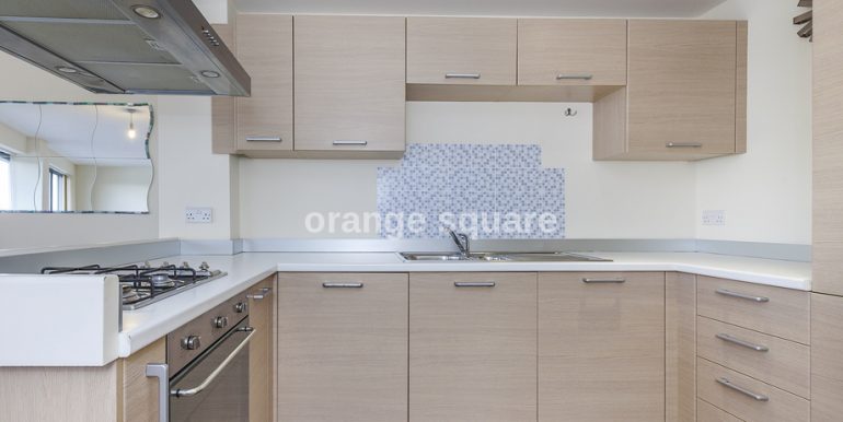 imageedit_7_3858088728